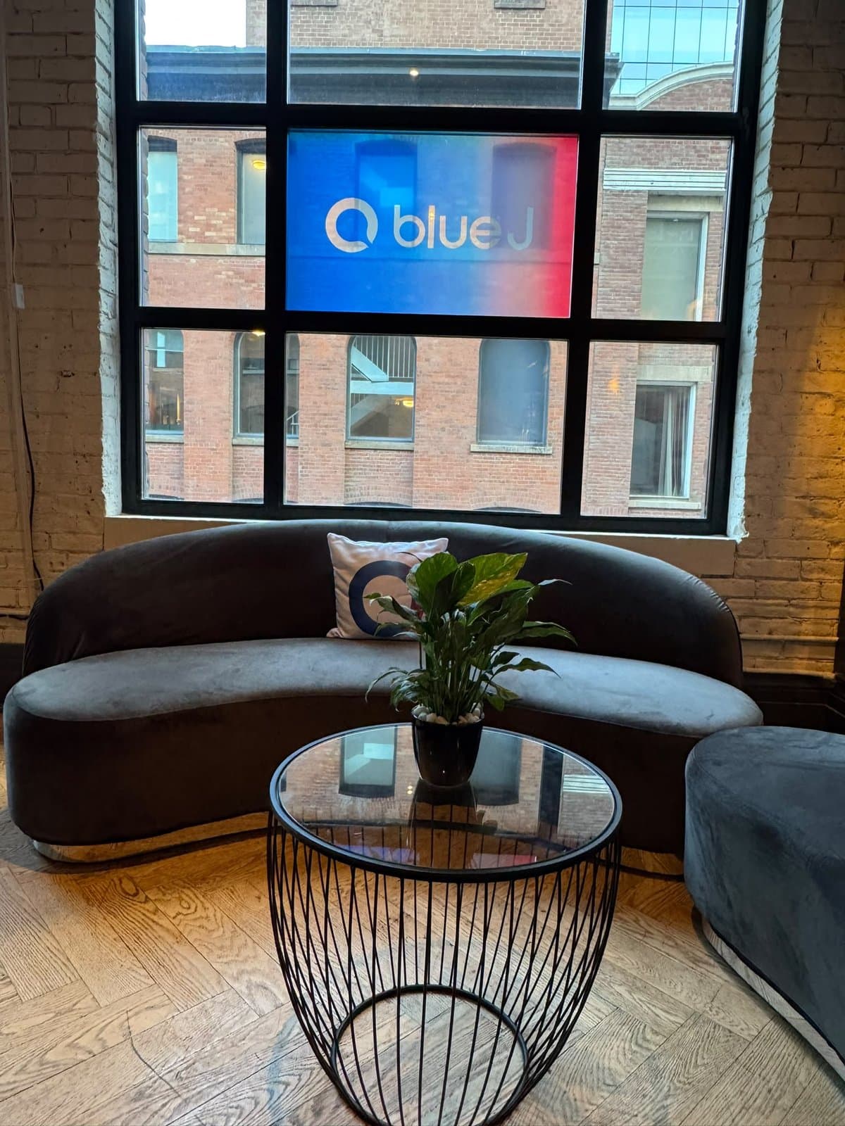 A curved grey velvet sofa with a Blue J cushion under an arched window, a Blue J graphic across its centre panes.
