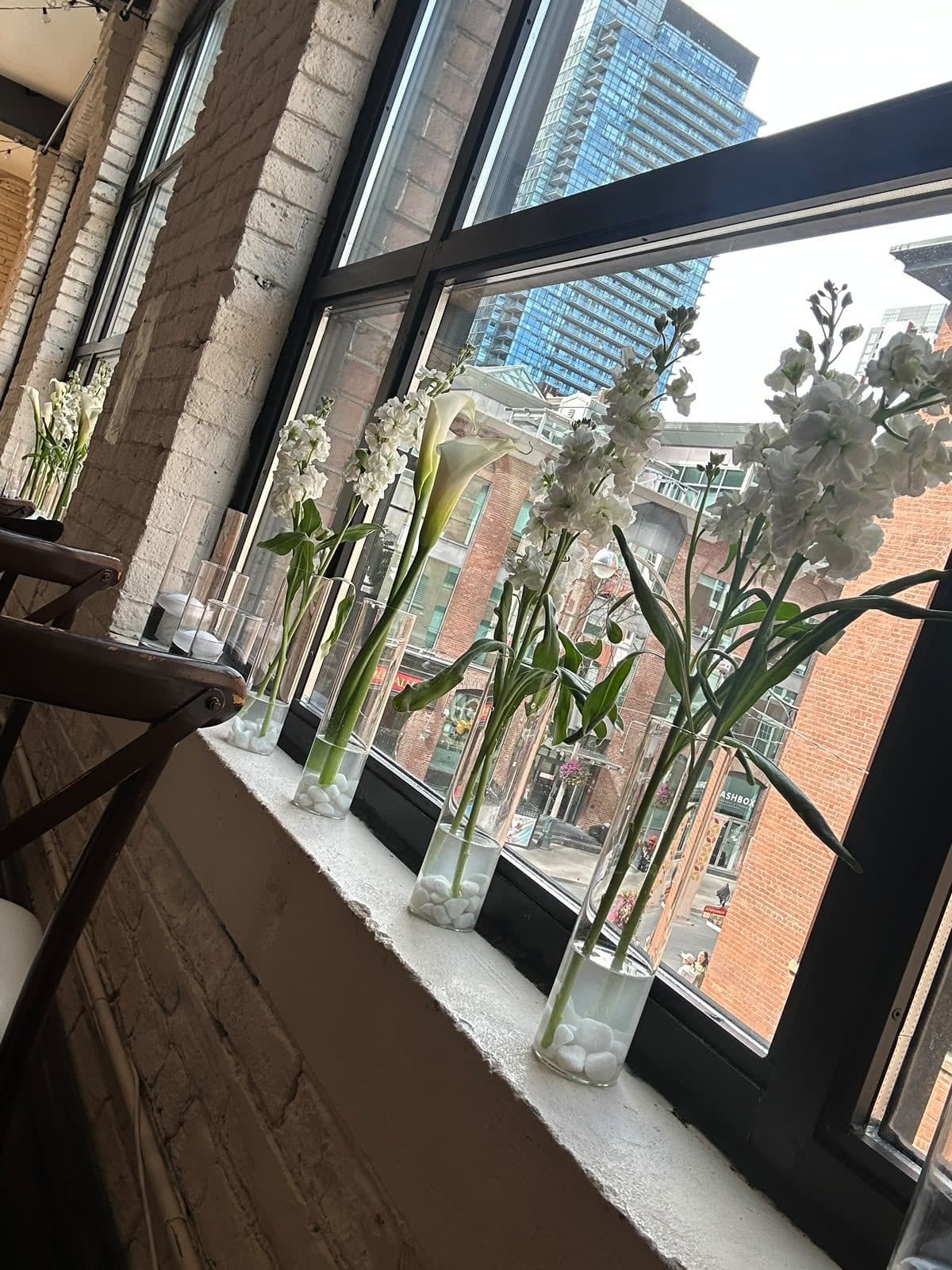 White flowers in slim glass bud vases lined up along the deep window ledge, with brick buildings outside.